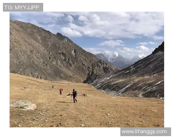 可可足球球星：从草根到巨星的传奇之路与未来展望